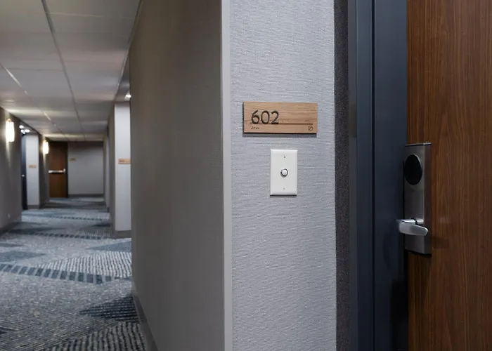 Hotel Staybridge Chicago O'hare - By Ihg